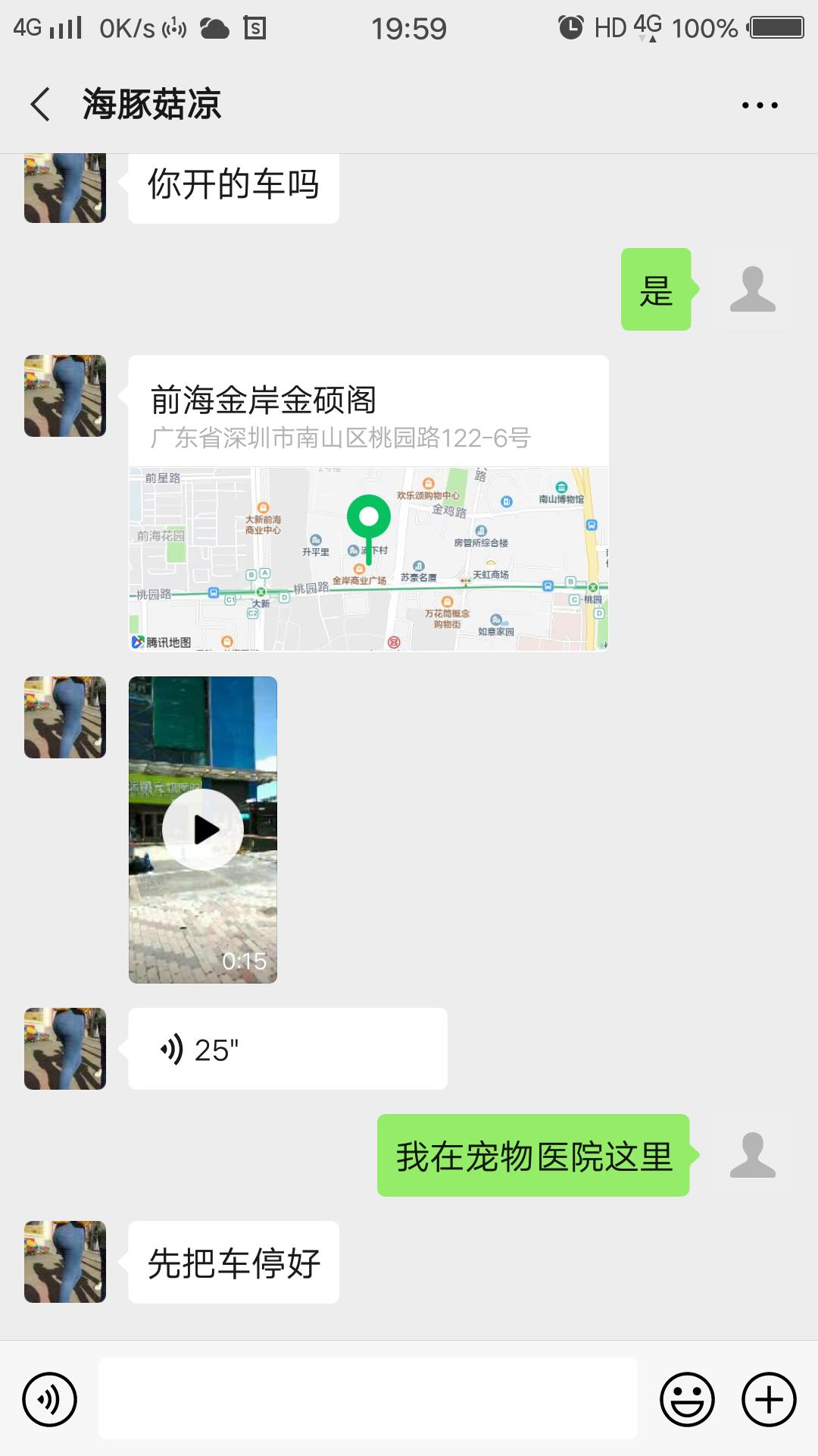 验证南山超大臀海豚